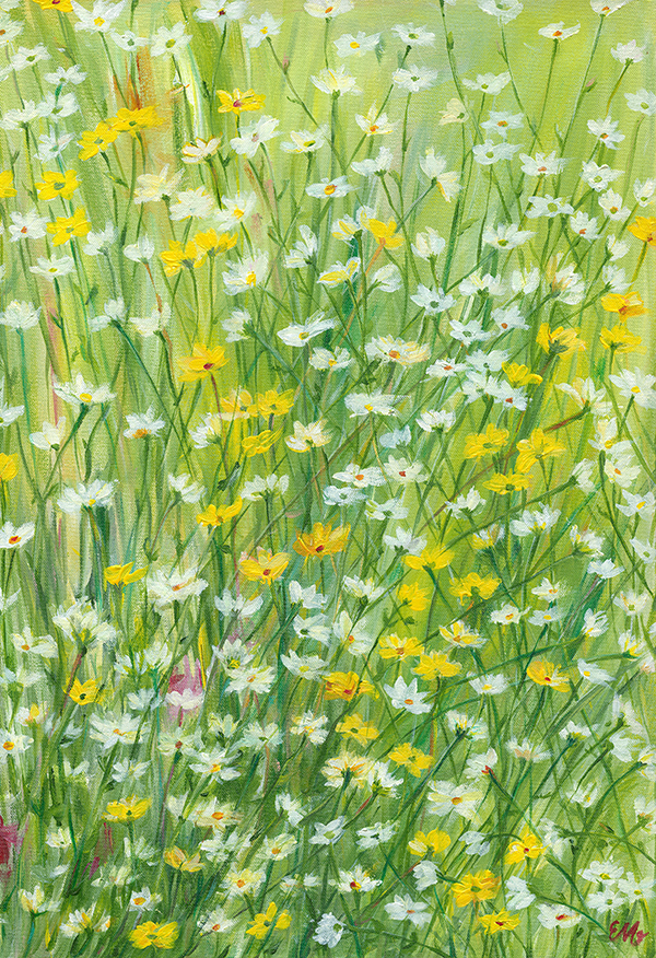 Daisy Meadow Original Art - See Details
